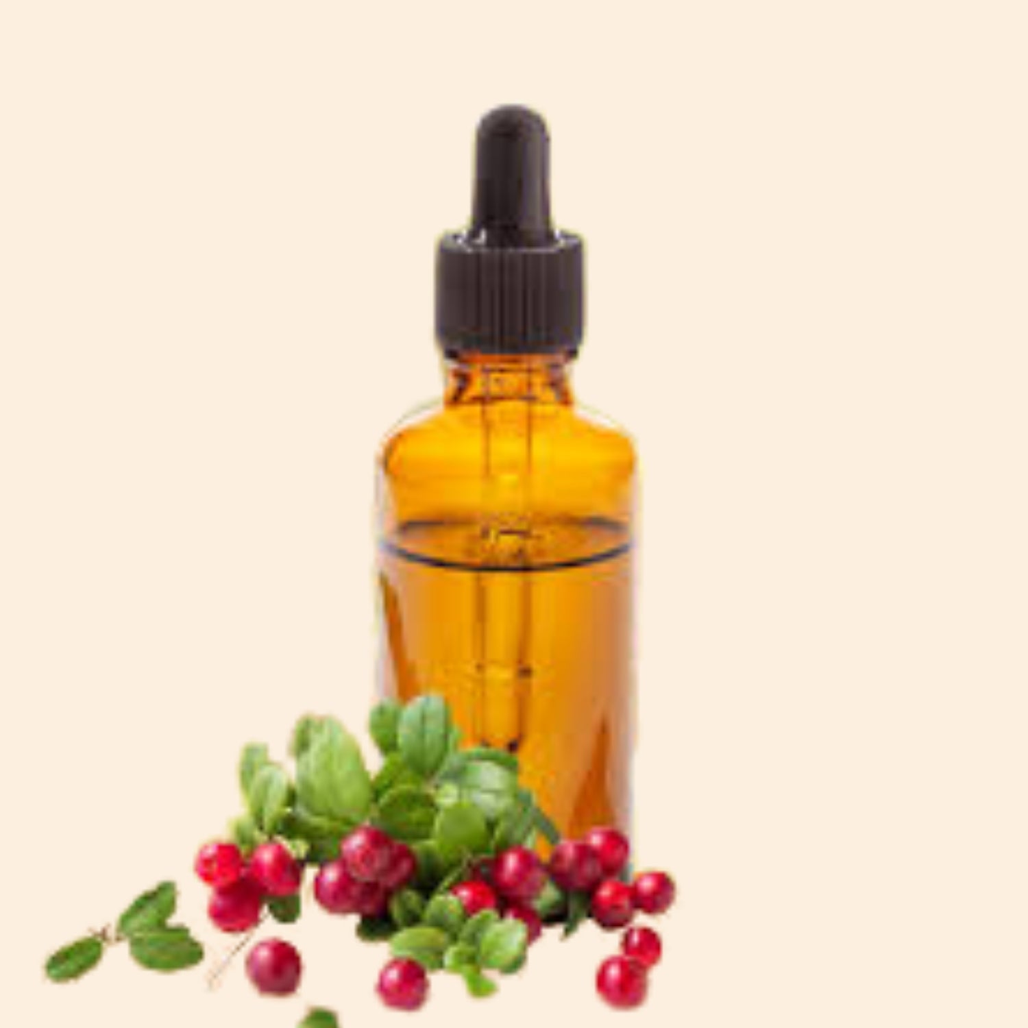 Bear Berry Herbal Liquid Extract Bear Berry Herbal Liquid Extract